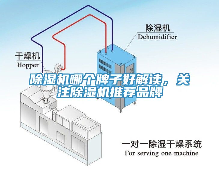除濕機(jī)哪個(gè)牌子好解讀，關(guān)注除濕機(jī)推薦品牌