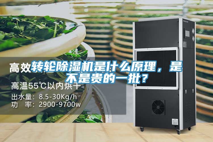 轉(zhuǎn)輪除濕機(jī)是什么原理，是不是貴的一批？