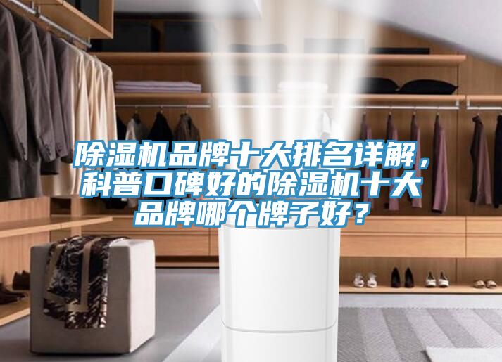 除濕機(jī)品牌十大排名詳解，科普口碑好的除濕機(jī)十大品牌哪個牌子好？