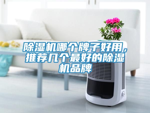 除濕機(jī)哪個(gè)牌子好用，推薦幾個(gè)最好的除濕機(jī)品牌