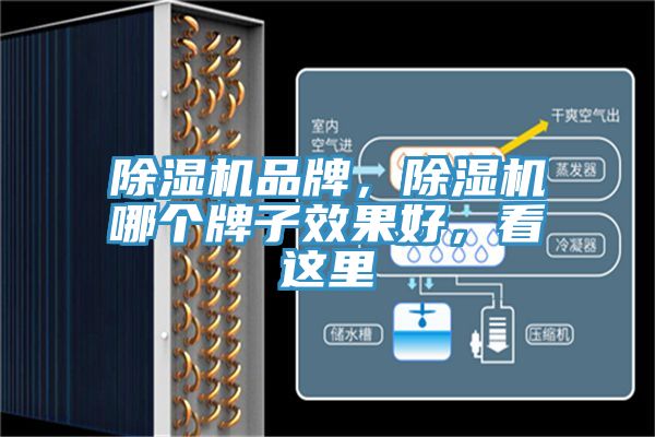 除濕機(jī)品牌，除濕機(jī)哪個牌子效果好，看這里