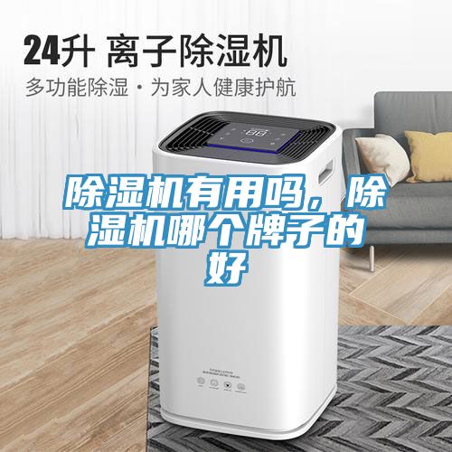 除濕機(jī)有用嗎，除濕機(jī)哪個(gè)牌子的好