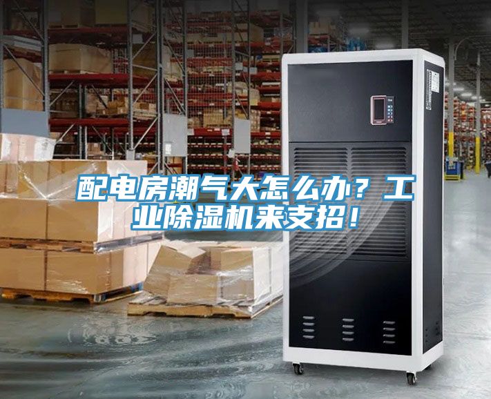 配電房潮氣大怎么辦？工業(yè)除濕機(jī)來支招！