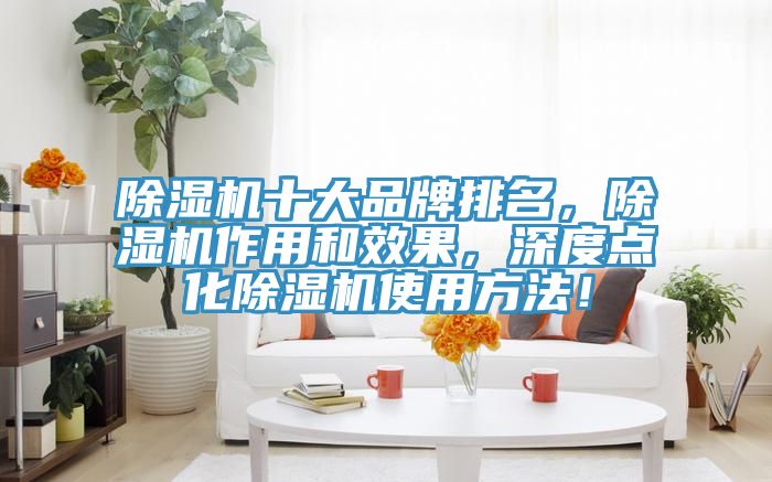 除濕機(jī)十大品牌排名，除濕機(jī)作用和效果，深度點(diǎn)化除濕機(jī)使用方法！