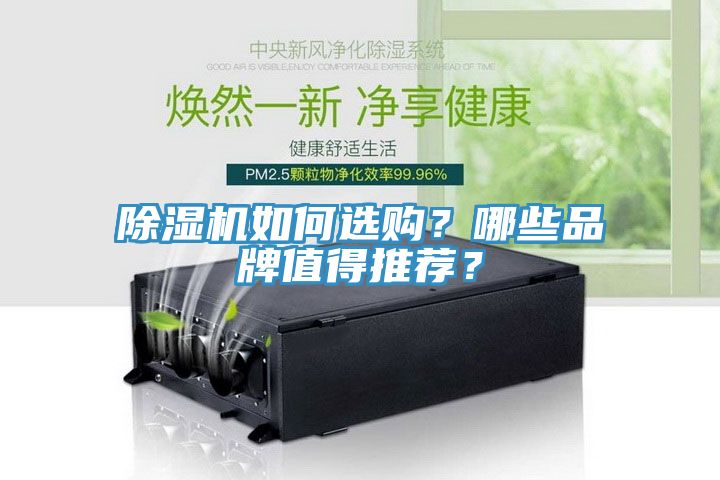 除濕機如何選購？哪些品牌值得推薦？
