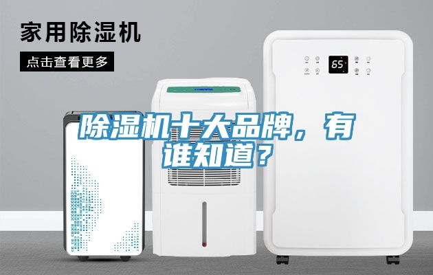 除濕機(jī)十大品牌，有誰知道？
