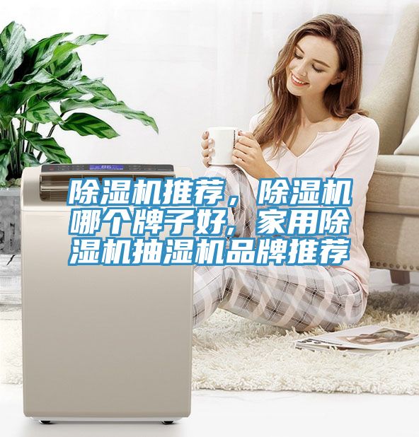 除濕機推薦，除濕機哪個牌子好, 家用除濕機抽濕機品牌推薦