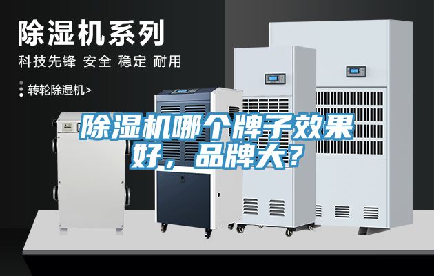 除濕機(jī)哪個(gè)牌子效果好，品牌大？