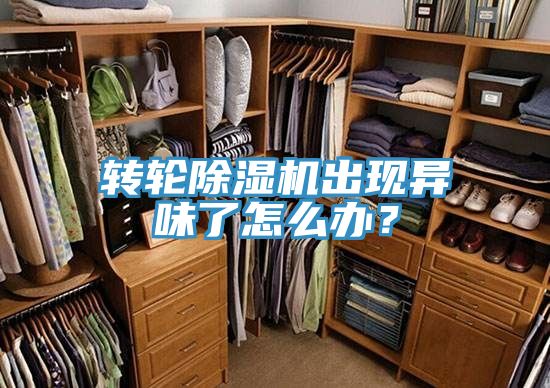 轉(zhuǎn)輪除濕機(jī)出現(xiàn)異味了怎么辦？