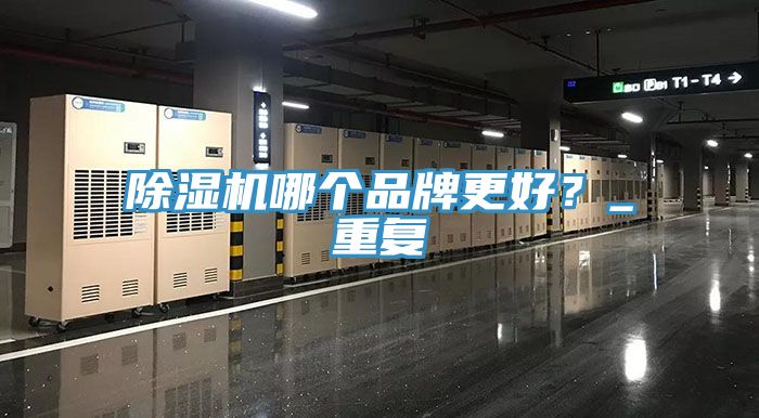 除濕機(jī)哪個(gè)品牌更好？_重復(fù)