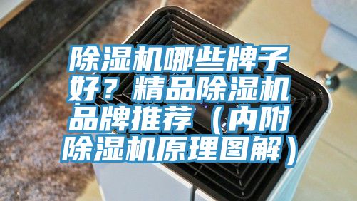 除濕機(jī)哪些牌子好？精品除濕機(jī)品牌推薦（內(nèi)附除濕機(jī)原理圖解）
