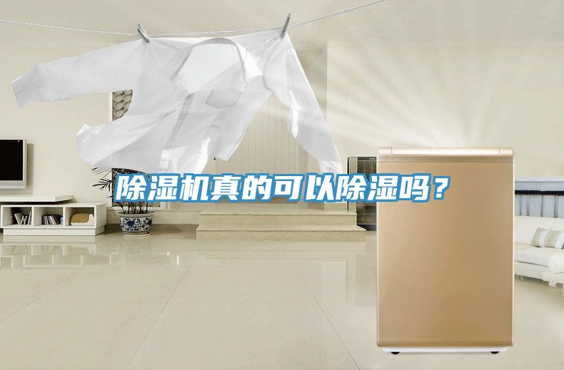 除濕機真的可以除濕嗎？