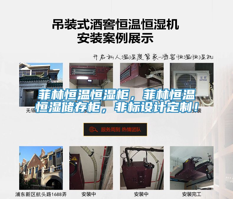 菲林恒溫恒濕柜，菲林恒溫恒濕儲(chǔ)存柜，非標(biāo)設(shè)計(jì)定制！