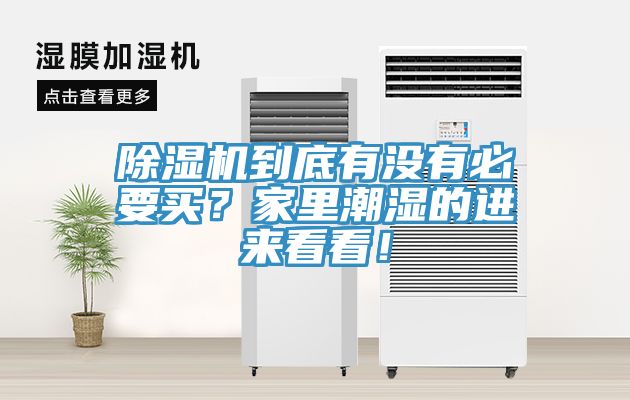 除濕機(jī)到底有沒有必要買？家里潮濕的進(jìn)來看看！