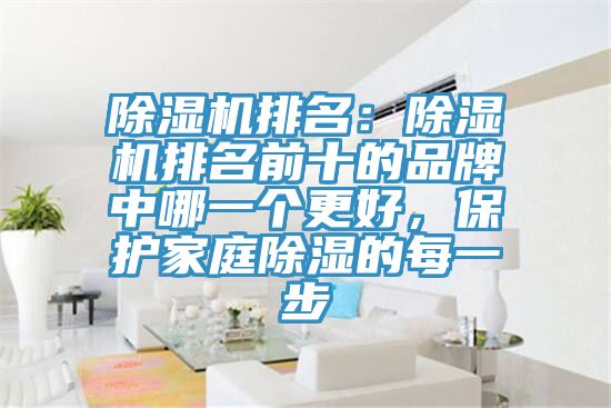 除濕機排名：除濕機排名前十的品牌中哪一個更好，保護家庭除濕的每一步