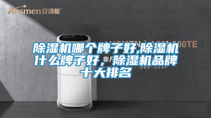 除濕機哪個牌子好,除濕機什么牌子好，除濕機品牌十大排名