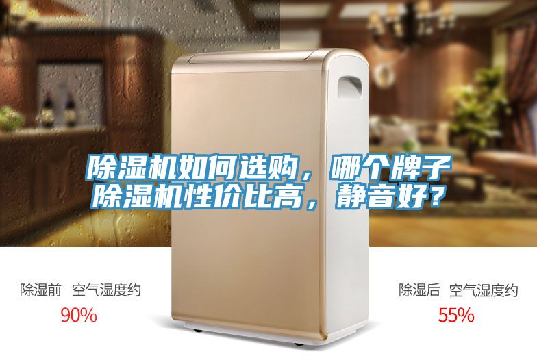 除濕機(jī)如何選購，哪個牌子除濕機(jī)性價比高，靜音好？
