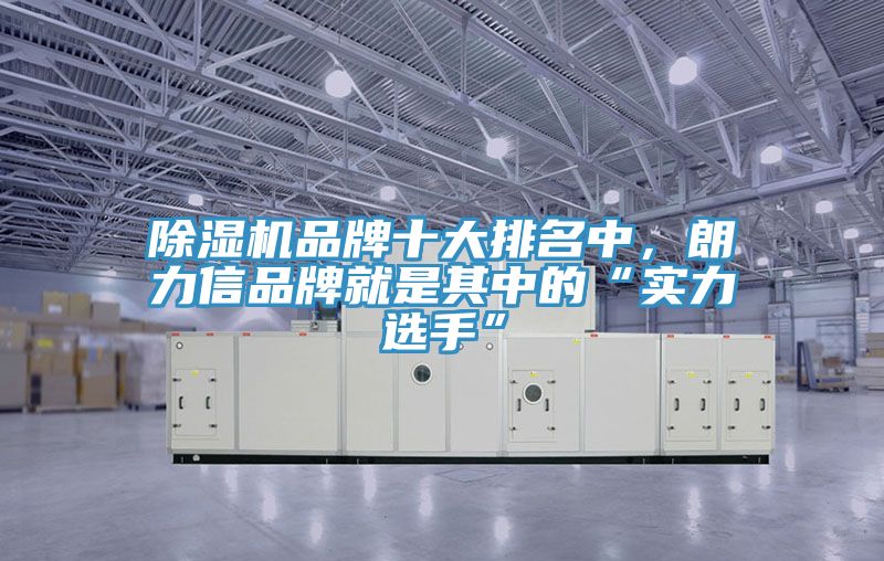 除濕機(jī)品牌十大排名中，朗力信品牌就是其中的“實(shí)力選手”