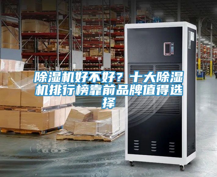 除濕機好不好？十大除濕機排行榜靠前品牌值得選擇