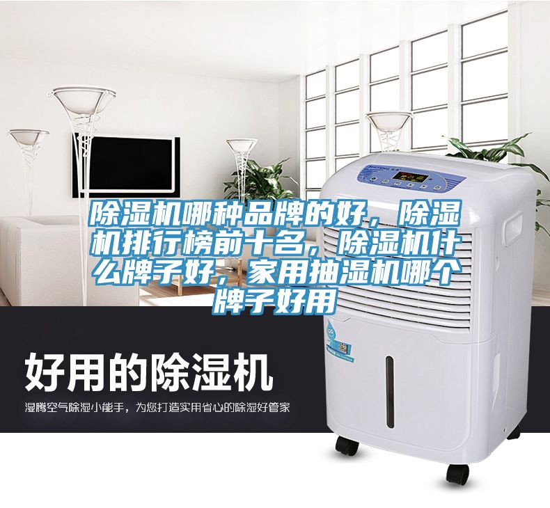 除濕機(jī)哪種品牌的好，除濕機(jī)排行榜前十名，除濕機(jī)什么牌子好，家用抽濕機(jī)哪個(gè)牌子好用
