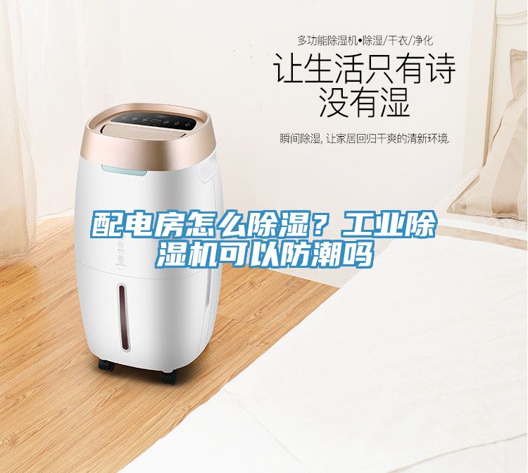 配電房怎么除濕？工業(yè)除濕機(jī)可以防潮嗎