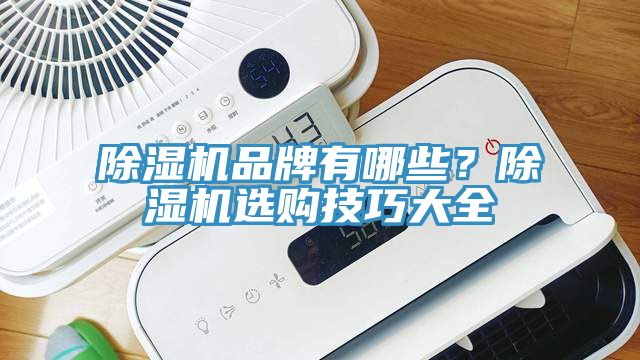 除濕機(jī)品牌有哪些？除濕機(jī)選購技巧大全