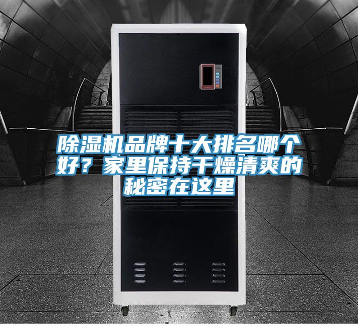 除濕機(jī)品牌十大排名哪個(gè)好？家里保持干燥清爽的秘密在這里