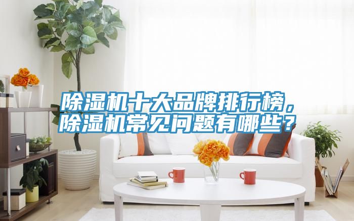 除濕機(jī)十大品牌排行榜，除濕機(jī)常見問題有哪些？