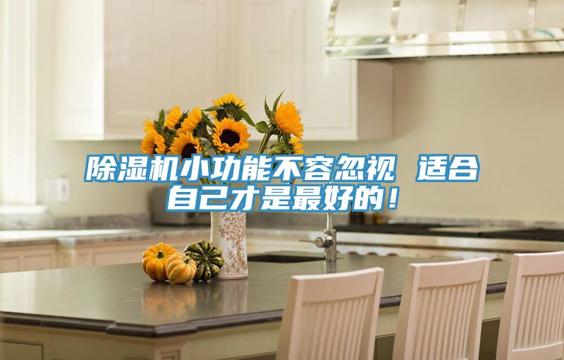 除濕機小功能不容忽視 適合自己才是最好的！