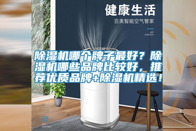 除濕機(jī)哪個(gè)牌子最好？除濕機(jī)哪些品牌比較好，推薦優(yōu)質(zhì)品牌+除濕機(jī)精選！