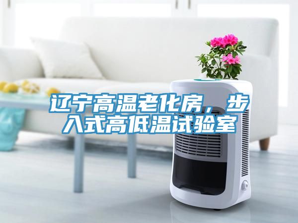 遼寧高溫老化房，步入式高低溫試驗(yàn)室