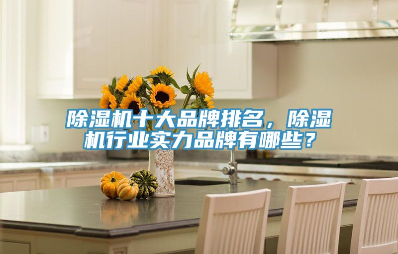 除濕機(jī)十大品牌排名，除濕機(jī)行業(yè)實力品牌有哪些？