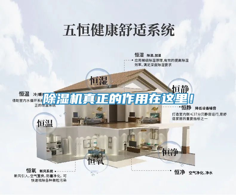 除濕機真正的作用在這里！