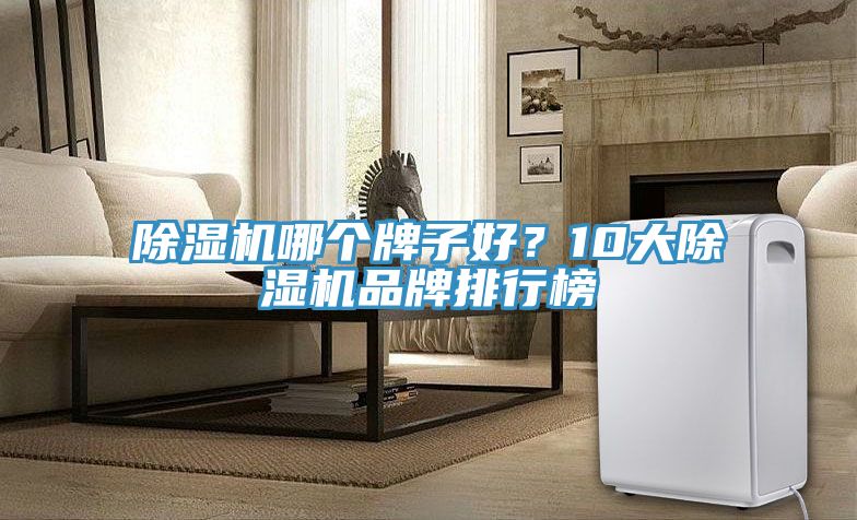 除濕機(jī)哪個(gè)牌子好？10大除濕機(jī)品牌排行榜