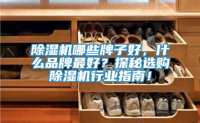 除濕機(jī)哪些牌子好，什么品牌最好？探秘選購(gòu)除濕機(jī)行業(yè)指南！
