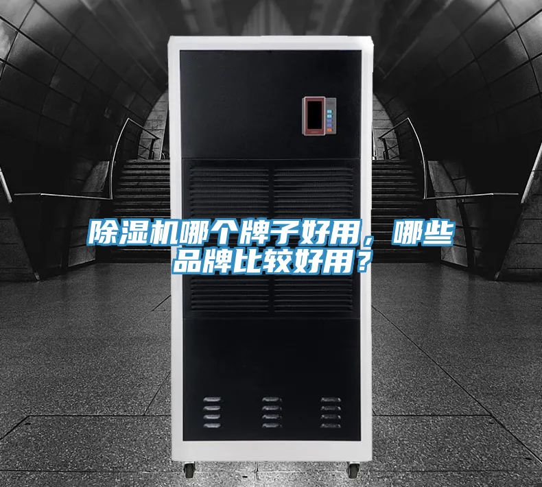 除濕機哪個牌子好用，哪些品牌比較好用？