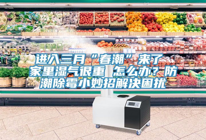 進(jìn)入三月“春潮”來了 家里濕氣很重 怎么辦？防潮除霉小妙招解決困擾