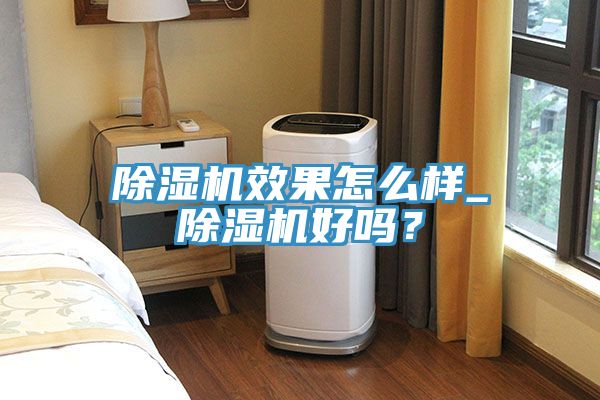 除濕機(jī)效果怎么樣_除濕機(jī)好嗎？