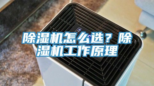 除濕機怎么選？除濕機工作原理