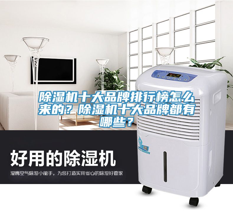 除濕機十大品牌排行榜怎么來的？除濕機十大品牌都有哪些？