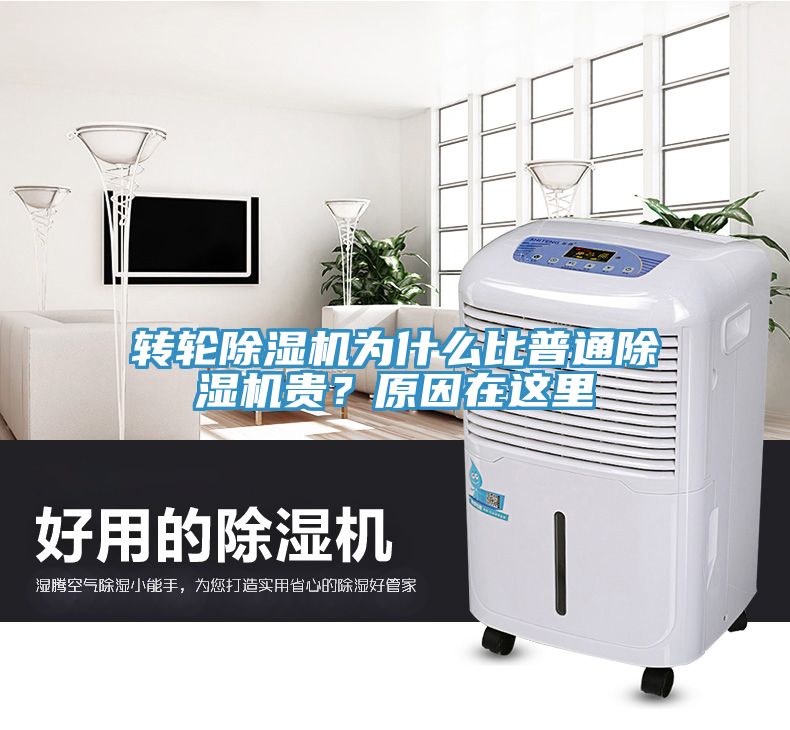 轉(zhuǎn)輪除濕機為什么比普通除濕機貴？原因在這里