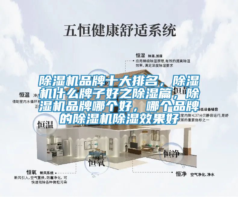除濕機(jī)品牌十大排名，除濕機(jī)什么牌子好之除濕篇，除濕機(jī)品牌哪個好，哪個品牌的除濕機(jī)除濕效果好