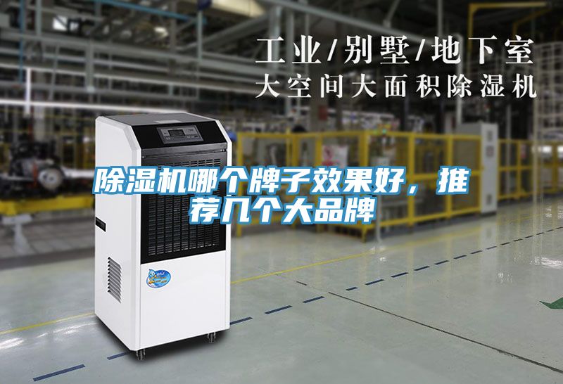 除濕機(jī)哪個(gè)牌子效果好，推薦幾個(gè)大品牌