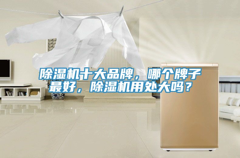 除濕機(jī)十大品牌，哪個牌子最好，除濕機(jī)用處大嗎？