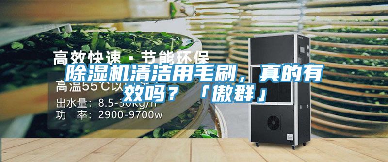 除濕機(jī)清潔用毛刷，真的有效嗎？「傲群」