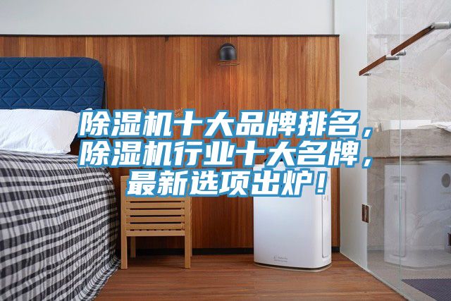 除濕機(jī)十大品牌排名，除濕機(jī)行業(yè)十大名牌，最新選項(xiàng)出爐！