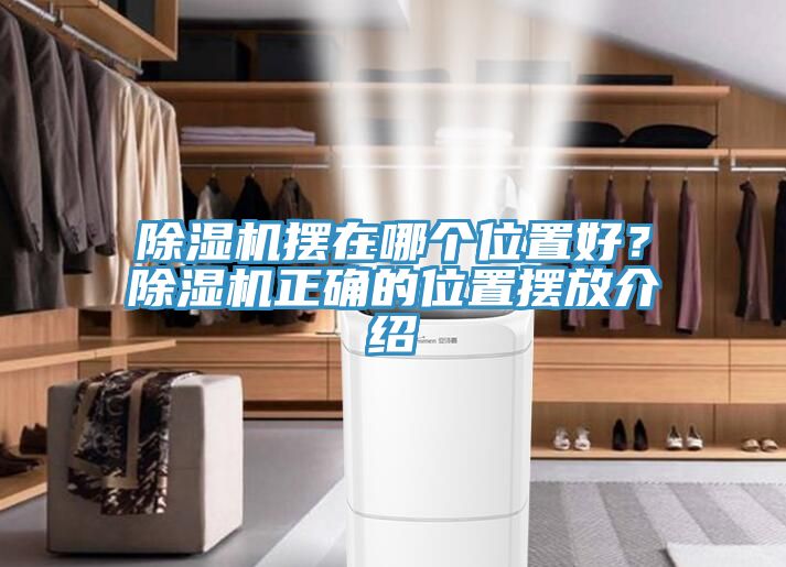 除濕機擺在哪個位置好？除濕機正確的位置擺放介紹