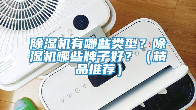 除濕機(jī)有哪些類型？除濕機(jī)哪些牌子好？（精品推薦）