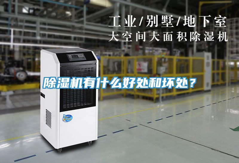 除濕機(jī)有什么好處和壞處？