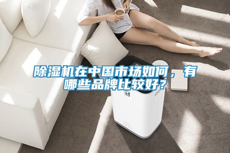 除濕機(jī)在中國(guó)市場(chǎng)如何，有哪些品牌比較好？